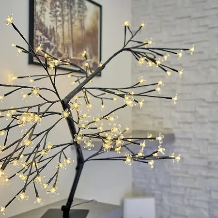 Plesivec - Tree Apartmán Abertamy