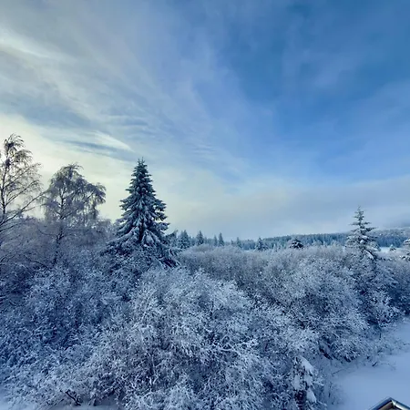 Plesivec - Tree Appartement *