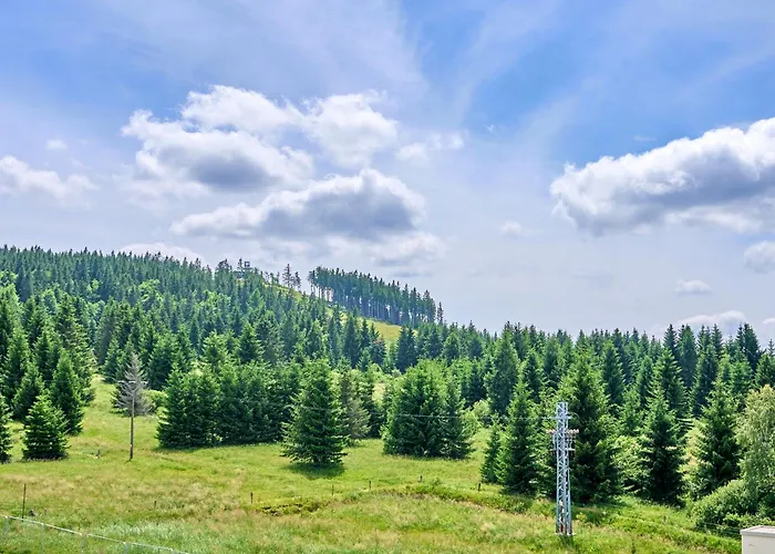 アパート Plesivec - Tree *