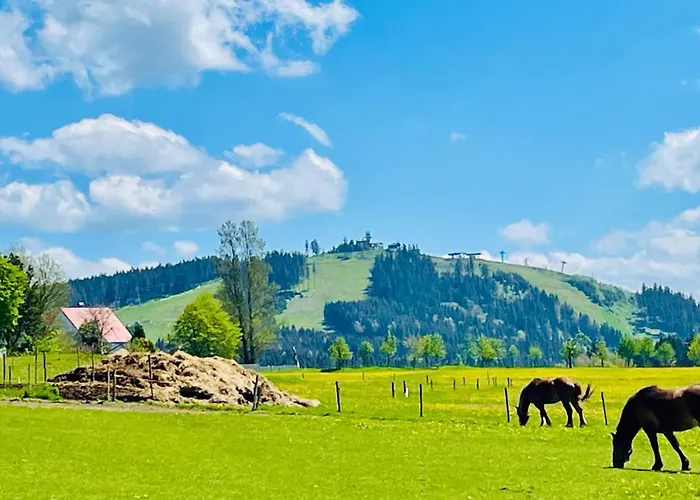 Plesivec - Tree アパート *