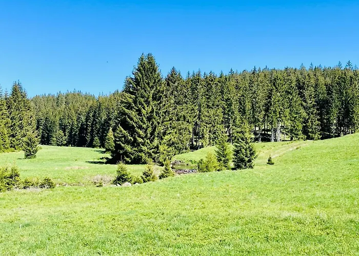 Plesivec - Tree アパート *